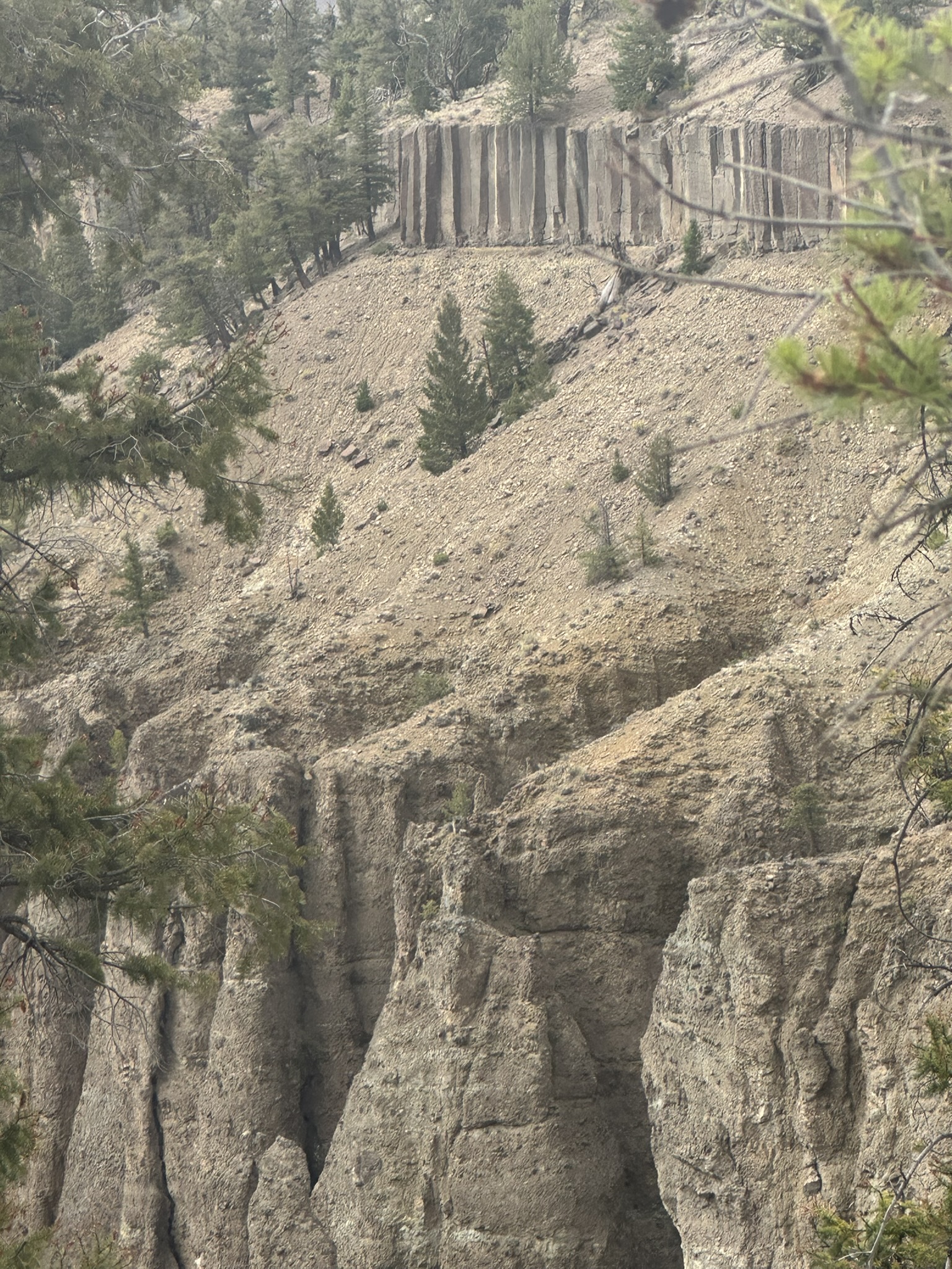 Yellowstone And Grand Teton National Parks - Image 871